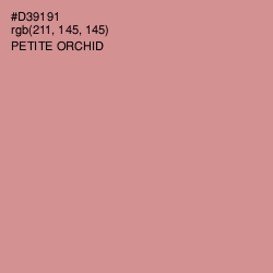 #D39191 - Petite Orchid Color Image